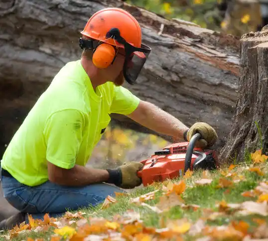 tree services Deepwater